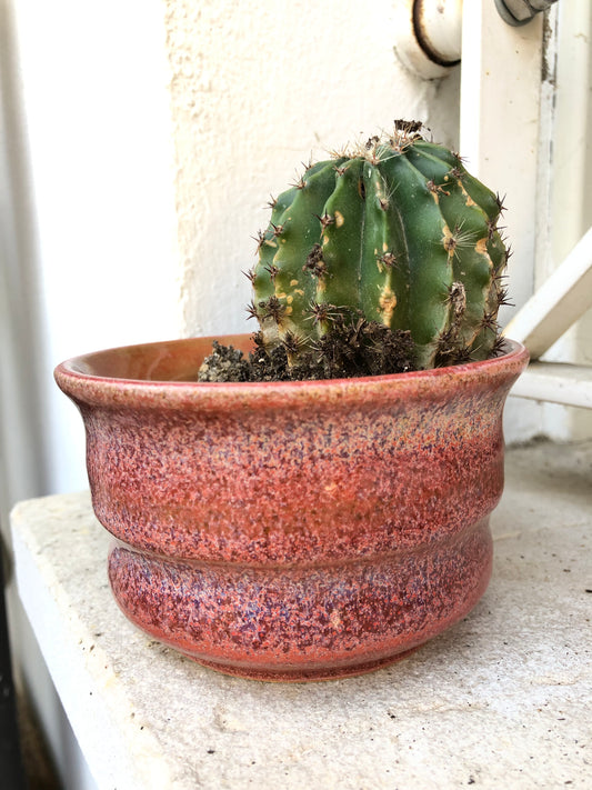 Vaso wave purple
